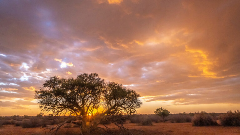 GRITMEDIA19 ARUSafaris 01351 768x432