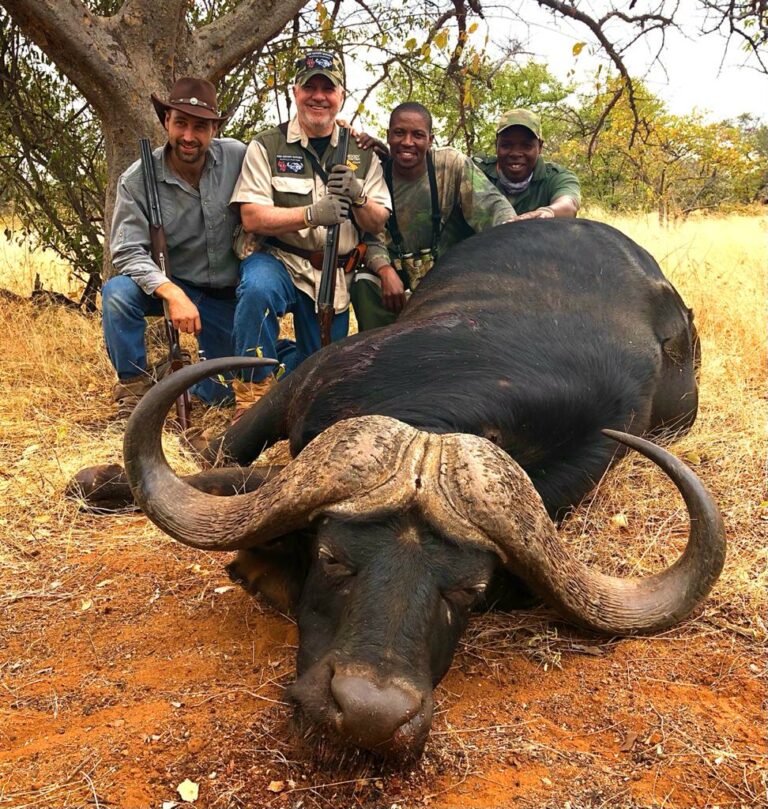 Hamilton Buff 768x809