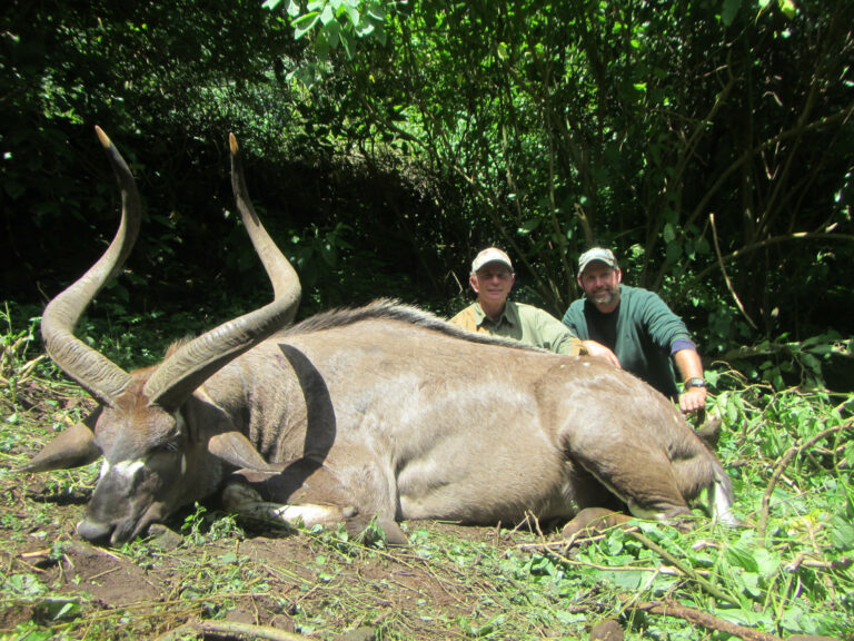 Hero Picture 768x576