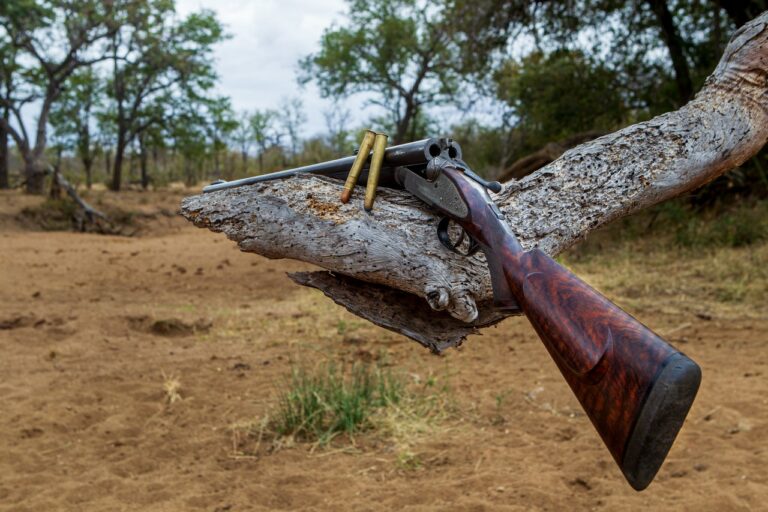 John Sharp Safaris 6 768x512