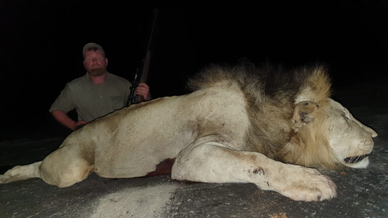 Mashambanzou Safaris 2 768x432