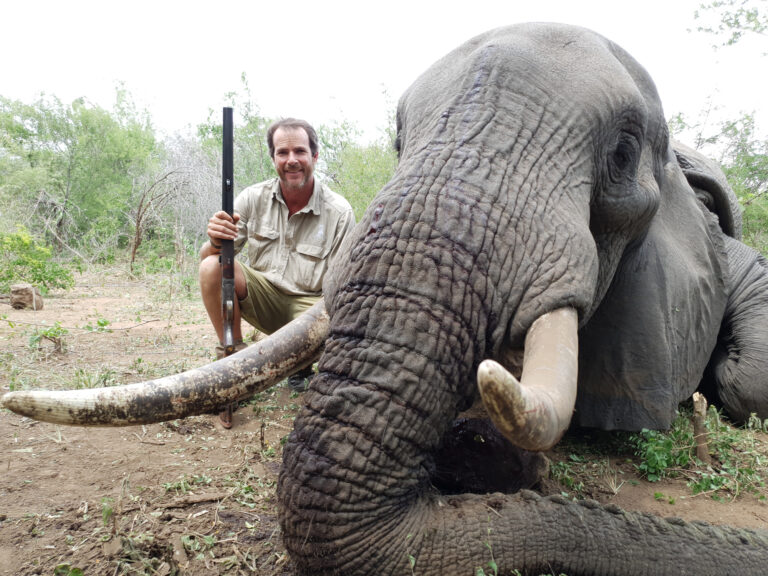 Mashambanzou Safaris 4 768x576