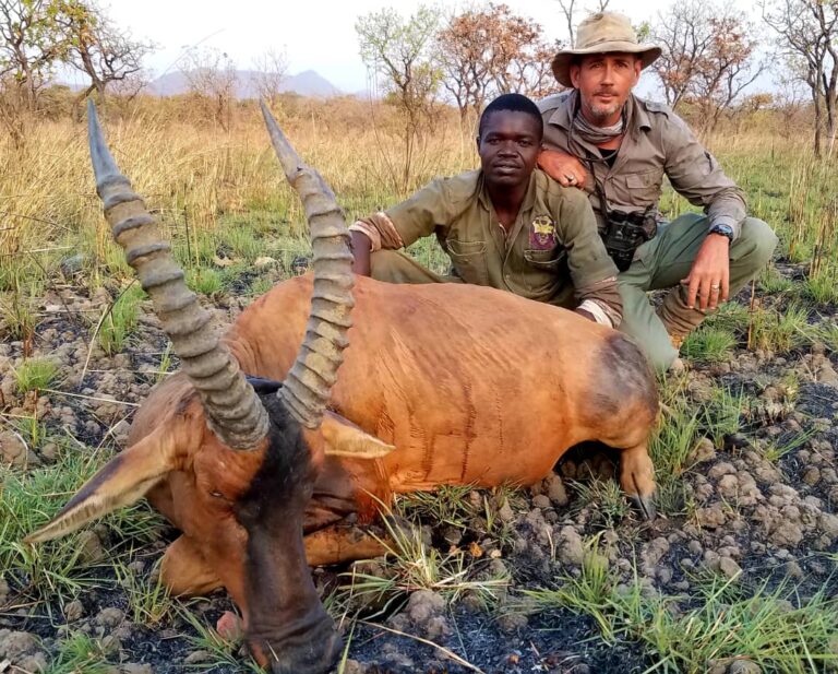 Mayo Oldiri 14 768x617