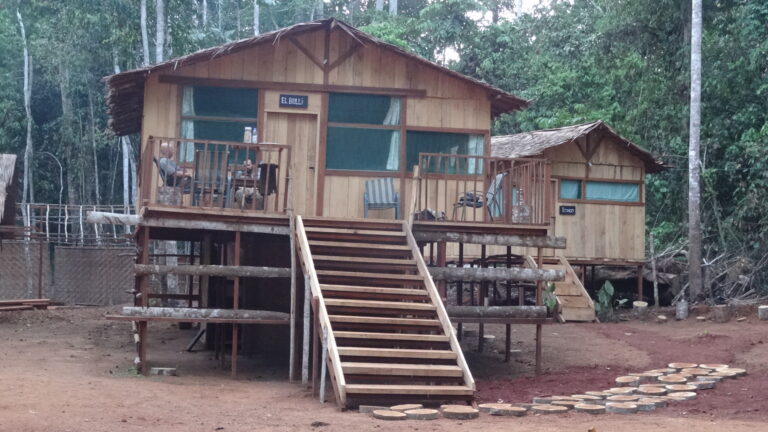 Mayo Oldiri 15 768x432