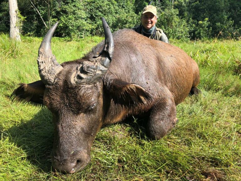 Mayo Oldiri 19 768x576