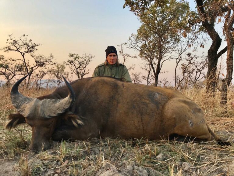 Mayo Oldiri 2 768x576