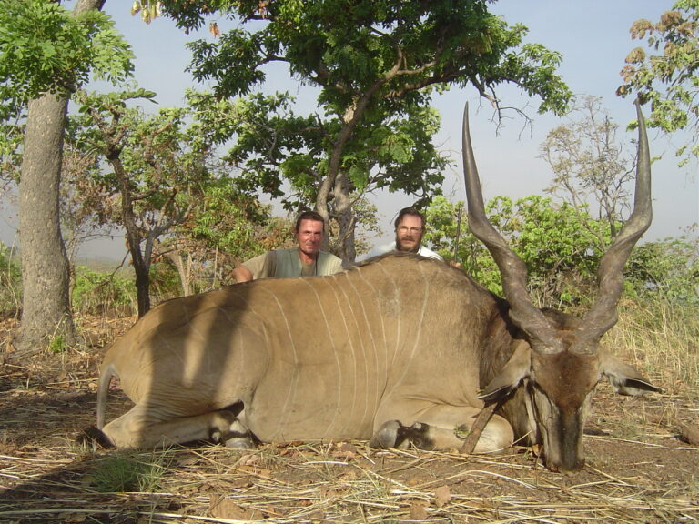 Mayo Oldiri 27 768x576