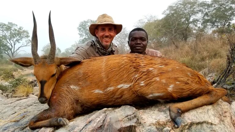 Mayo Oldiri 3 768x432