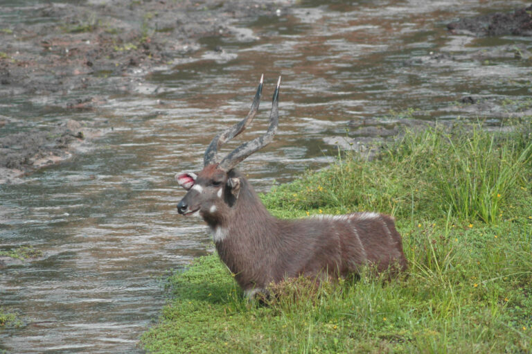 Mayo Oldiri 31 768x511