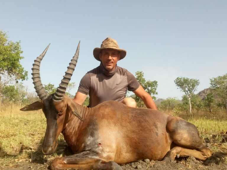 Mayo Oldiri 32 768x573