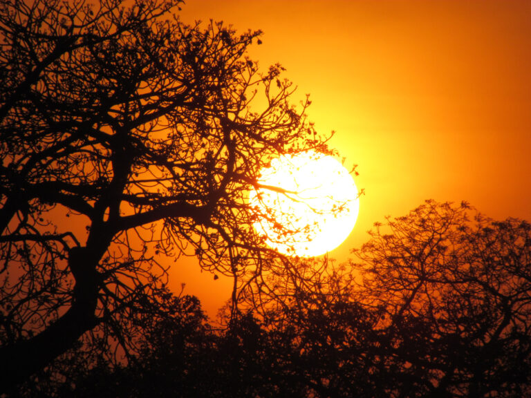 Mokore Safaris 12 768x576