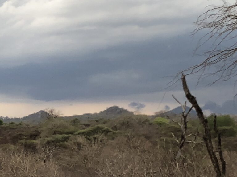 Mokore Safaris 17 768x576