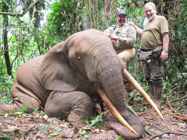 Mr.Kuri May11 A2 768x576