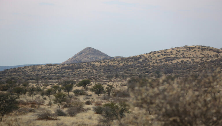 NBP 6477Used 768x437