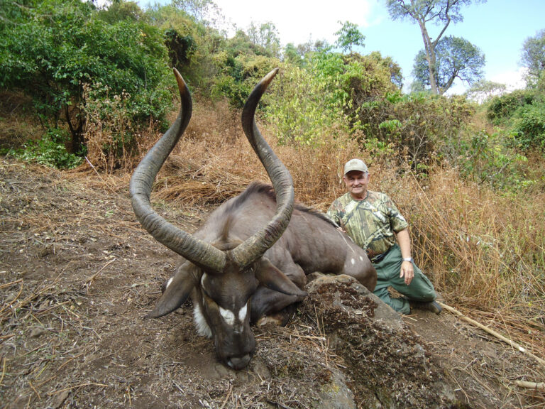 Page 3 top right copy 768x576