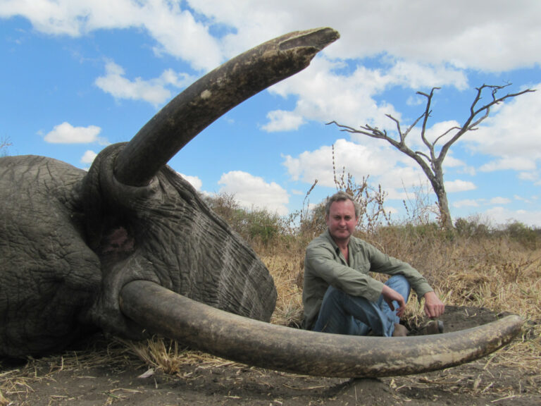 Savings Account 070 768x576