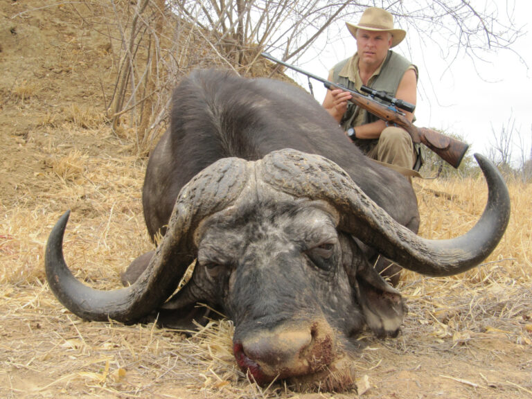 Savings Account 175 768x576