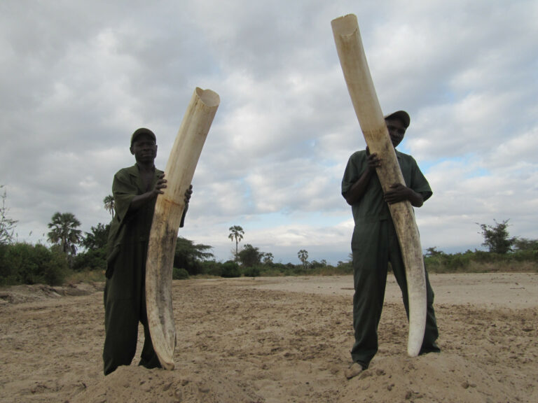 Savings Account 322 768x576