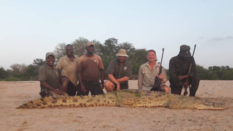 WhatsApp Image 2020 12 08 at 17.08.02 768x432