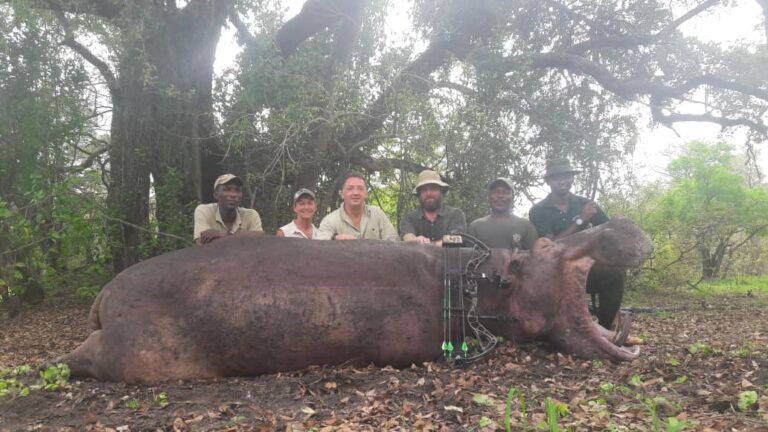 WhatsApp Image 2020 12 08 at 17.08.03 1 768x432