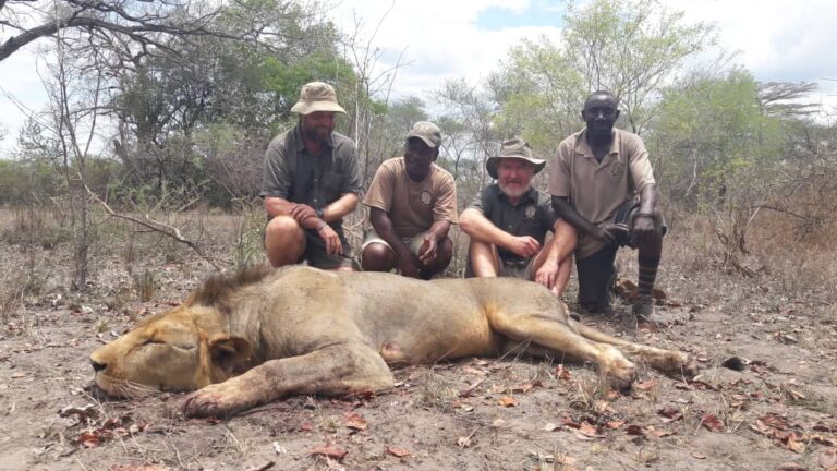 WhatsApp Image 2020 12 08 at 17.08.04 768x432