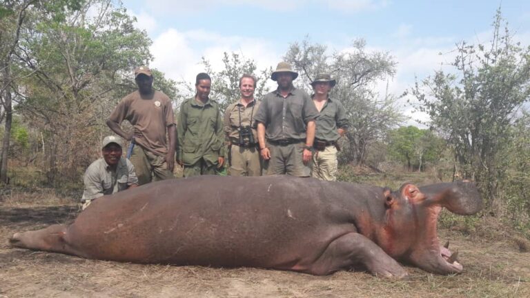 WhatsApp Image 2020 12 08 at 17.08.05 1 768x432