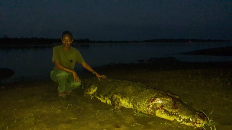 WhatsApp Image 2020 12 08 at 17.08.05 768x432