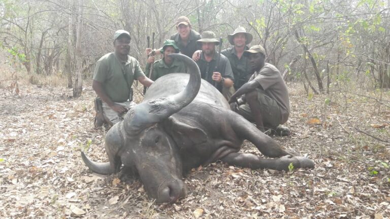 WhatsApp Image 2020 12 08 at 17.08.06 1 768x432