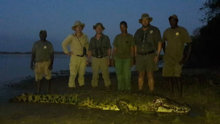 WhatsApp Image 2020 12 08 at 17.08.08 1 768x432