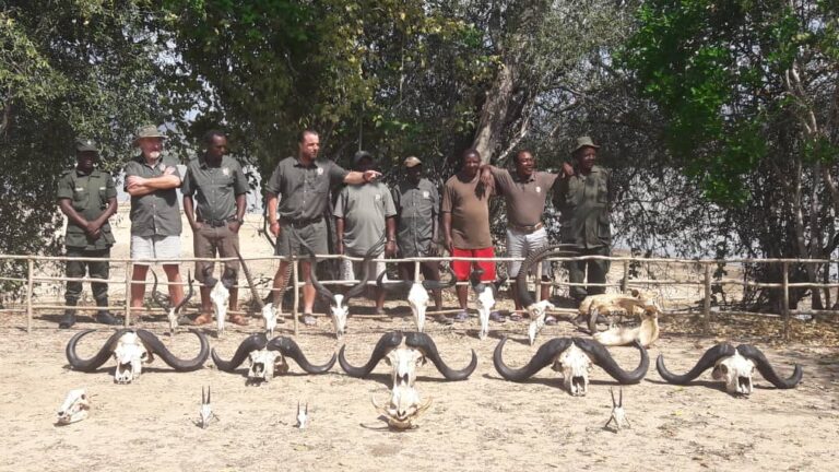 WhatsApp Image 2020 12 08 at 17.08.10 768x432