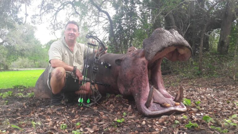 WhatsApp Image 2020 12 11 at 14.12.34 768x432