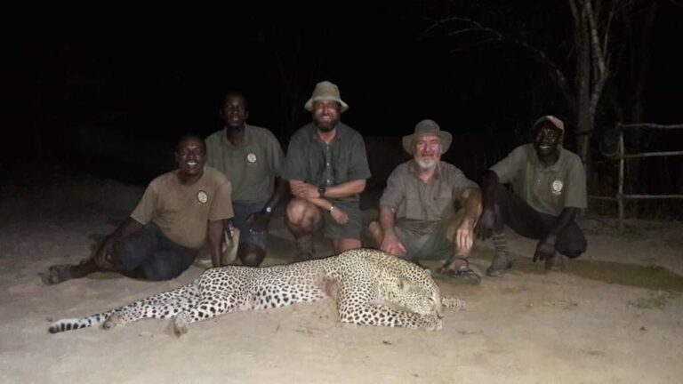 WhatsApp Image 2020 12 11 at 14.12.35 1 768x432