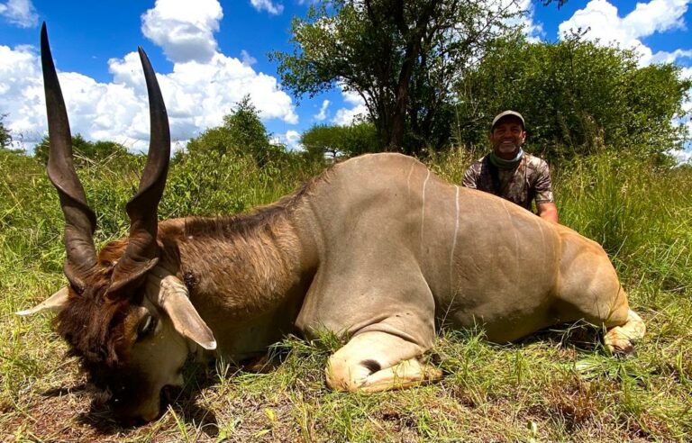 WhatsApp Image 2021 11 28 at 12.43.07 1 768x492