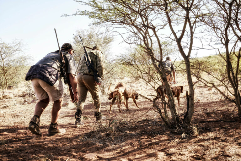 Zak19 AruSafaris Kalakwa 0170 768x512