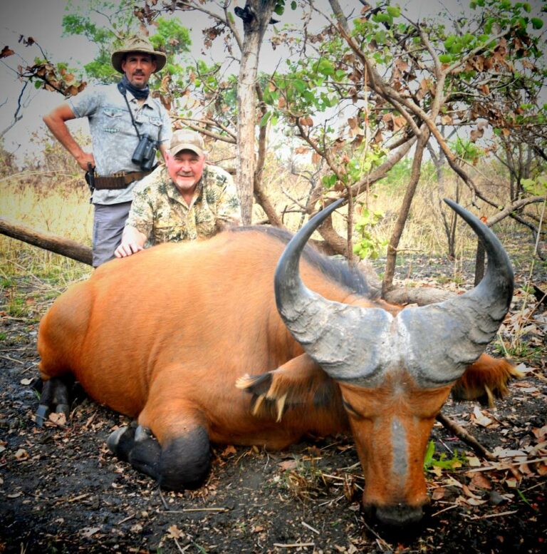 a27f71c2 2337 4b2d 9671 3cbb28786767 768x777