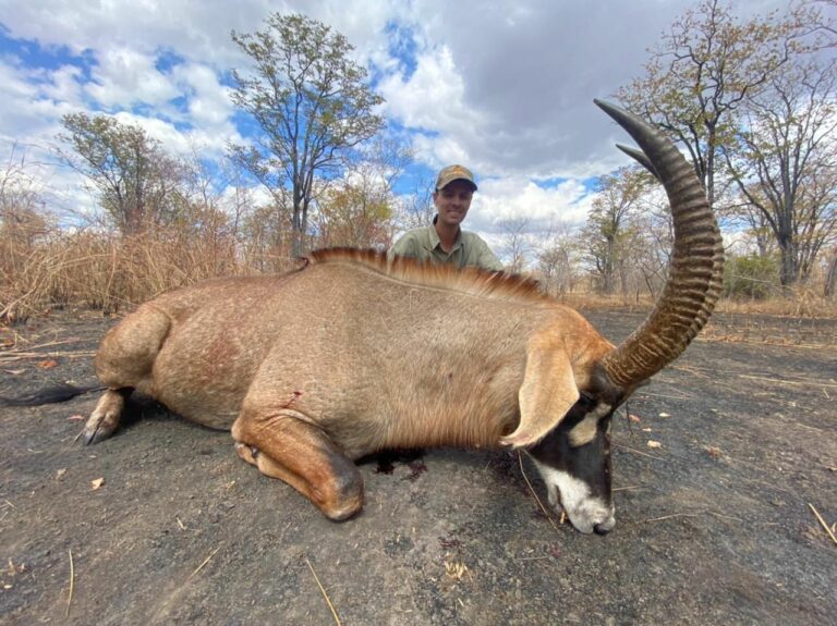 a554c97b a9c9 4b9e 9b77 41c068673df5 768x575