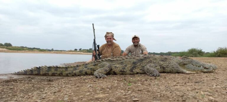 aeb66d30 293a 427b a724 ae5fe0f81e6b 768x346