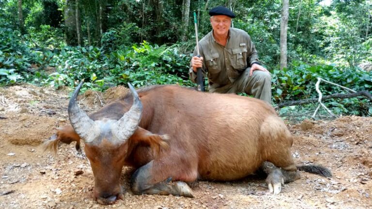 b33f8401 cce4 4598 b0c9 3754664127b2 768x432