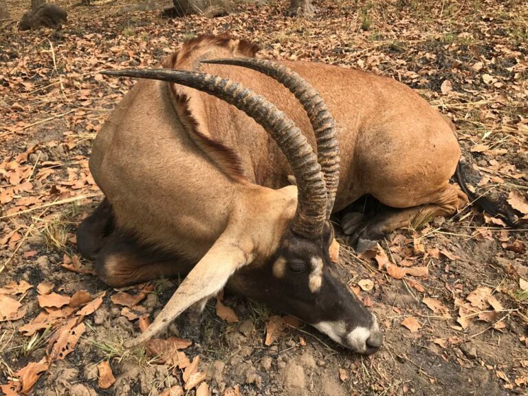 b365f57f b644 4043 9517 98bd5d8a34d4 768x576