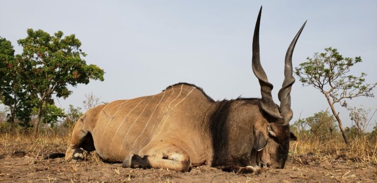 b437cf94 d7f6 40fb 80d5 85804c8dd4c9 768x373