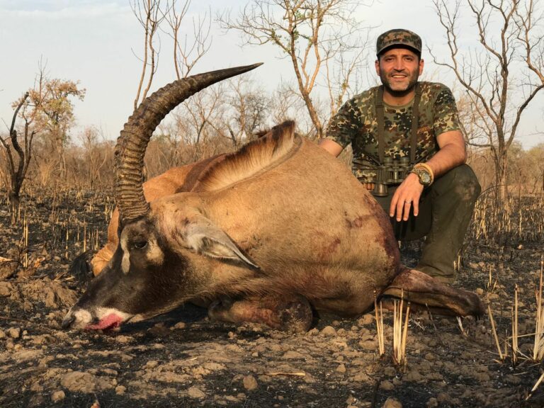 b43b4eba cd1f 4f1e a38e 5abeb2318127 768x576