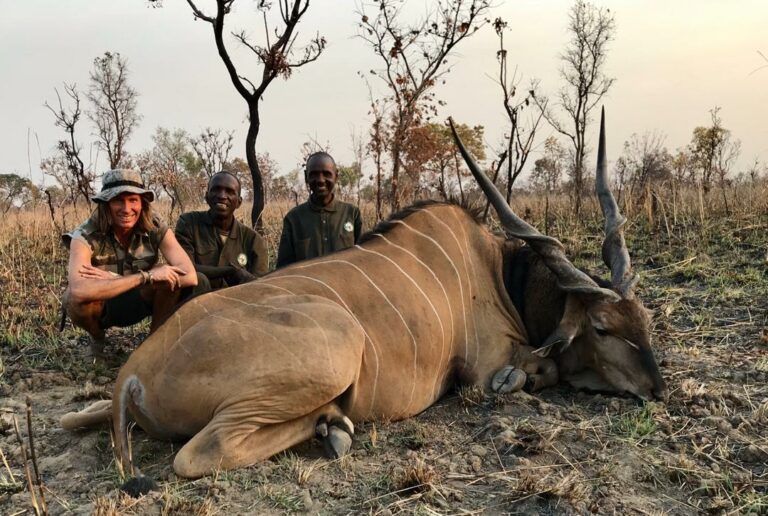 cf843703 dded 43a7 a032 80804dd81881 768x516