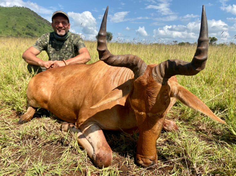 d7523763 d2dc 40c6 80de 572c747cc0be 768x575