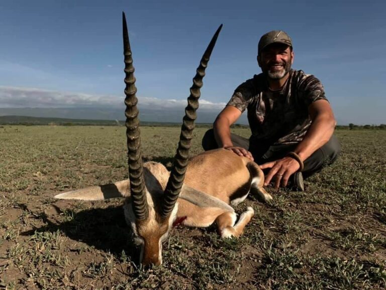 db534568 8412 497f a5f4 4bbd94acee9b 768x576