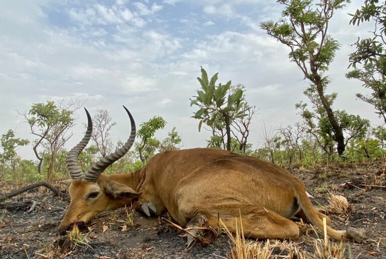 e209889c 5c98 4a03 bd62 9ac201bff451 768x515