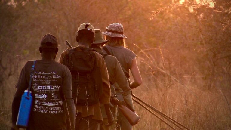 e5e9f5aa 3ad1 48d9 b0da c70f42f1cb68 768x432