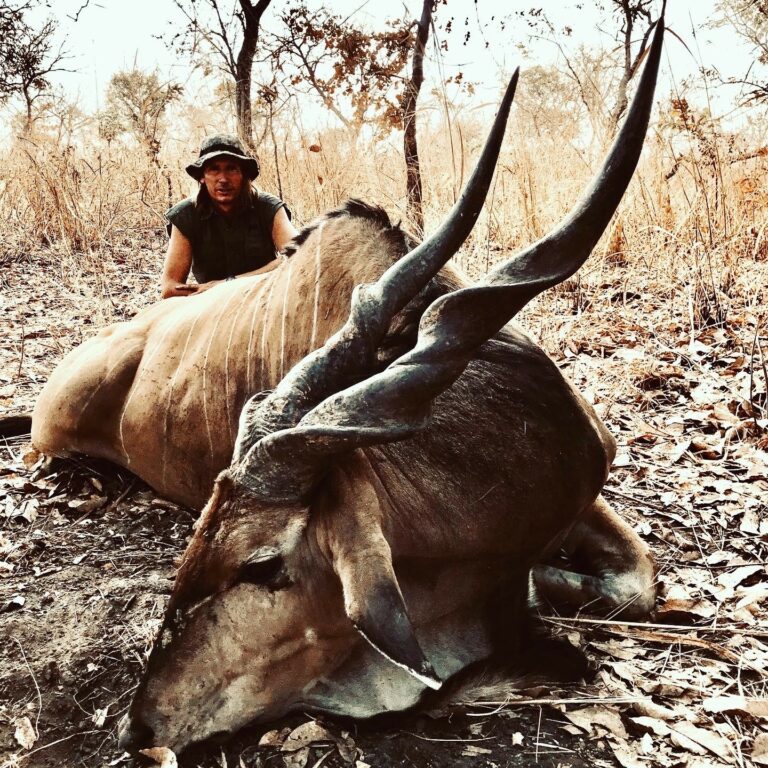 eland high 768x768
