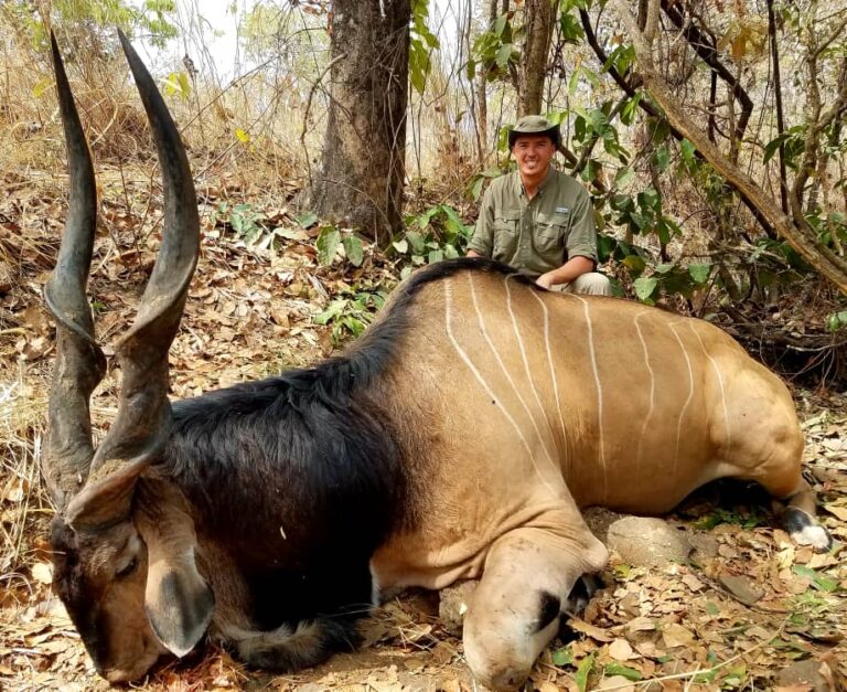 f41268e7 f144 4a6f 8453 fee0ec96f573 768x627