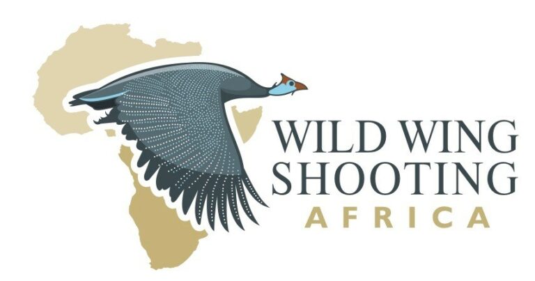 logo2 768x403