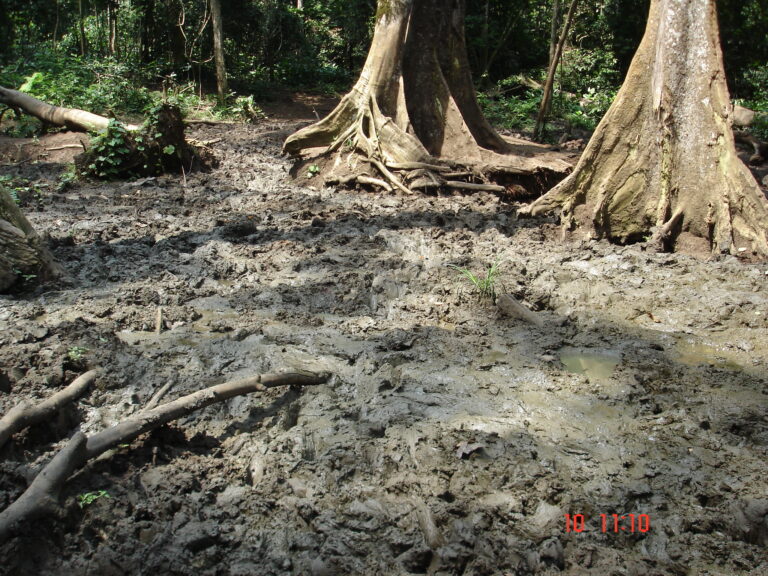 salina B.North 768x576